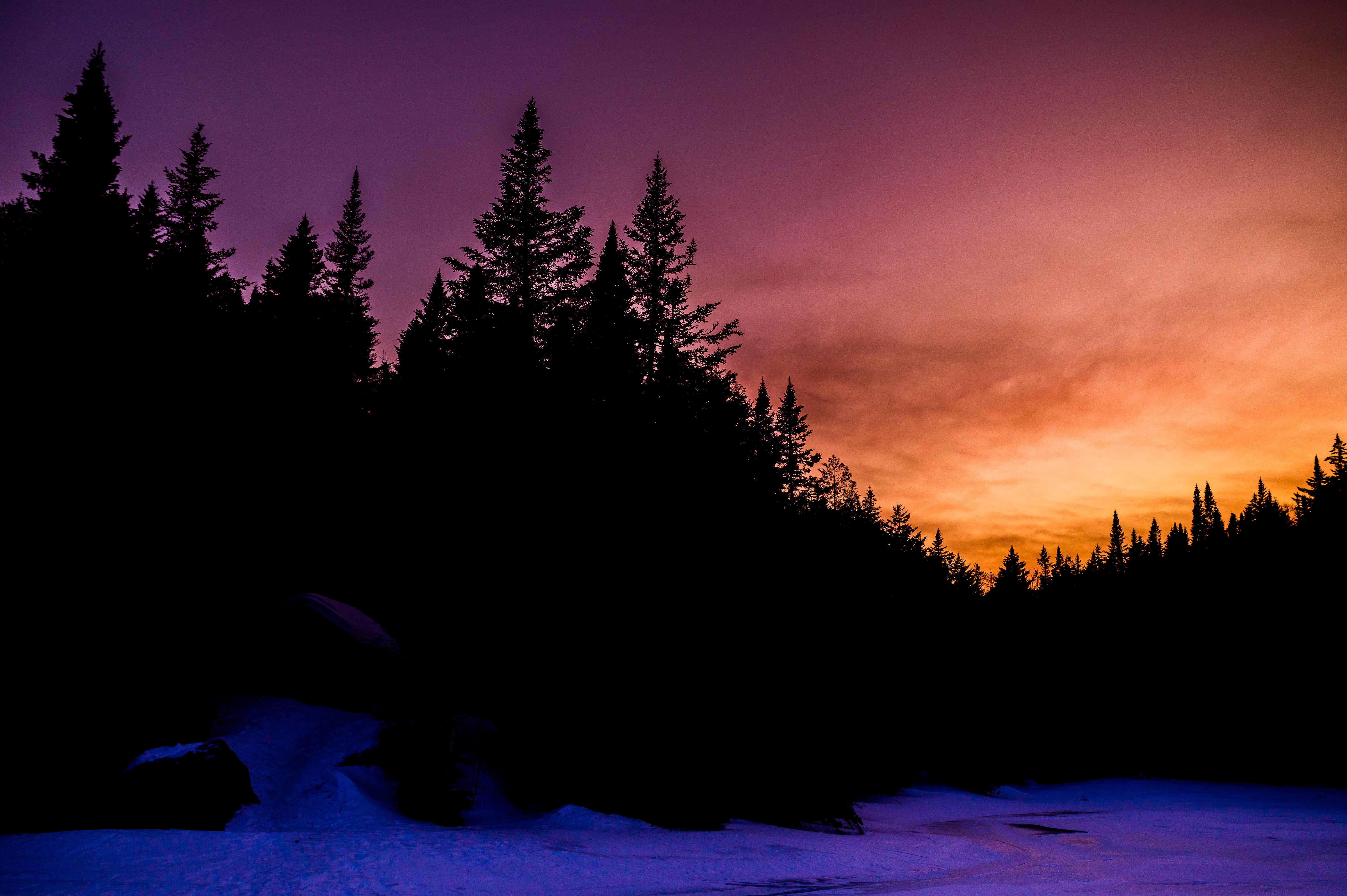 Snowy White Mountains sunset with silhouetted pines and vibrant sky, ideal for adventure elopement wedding photography.