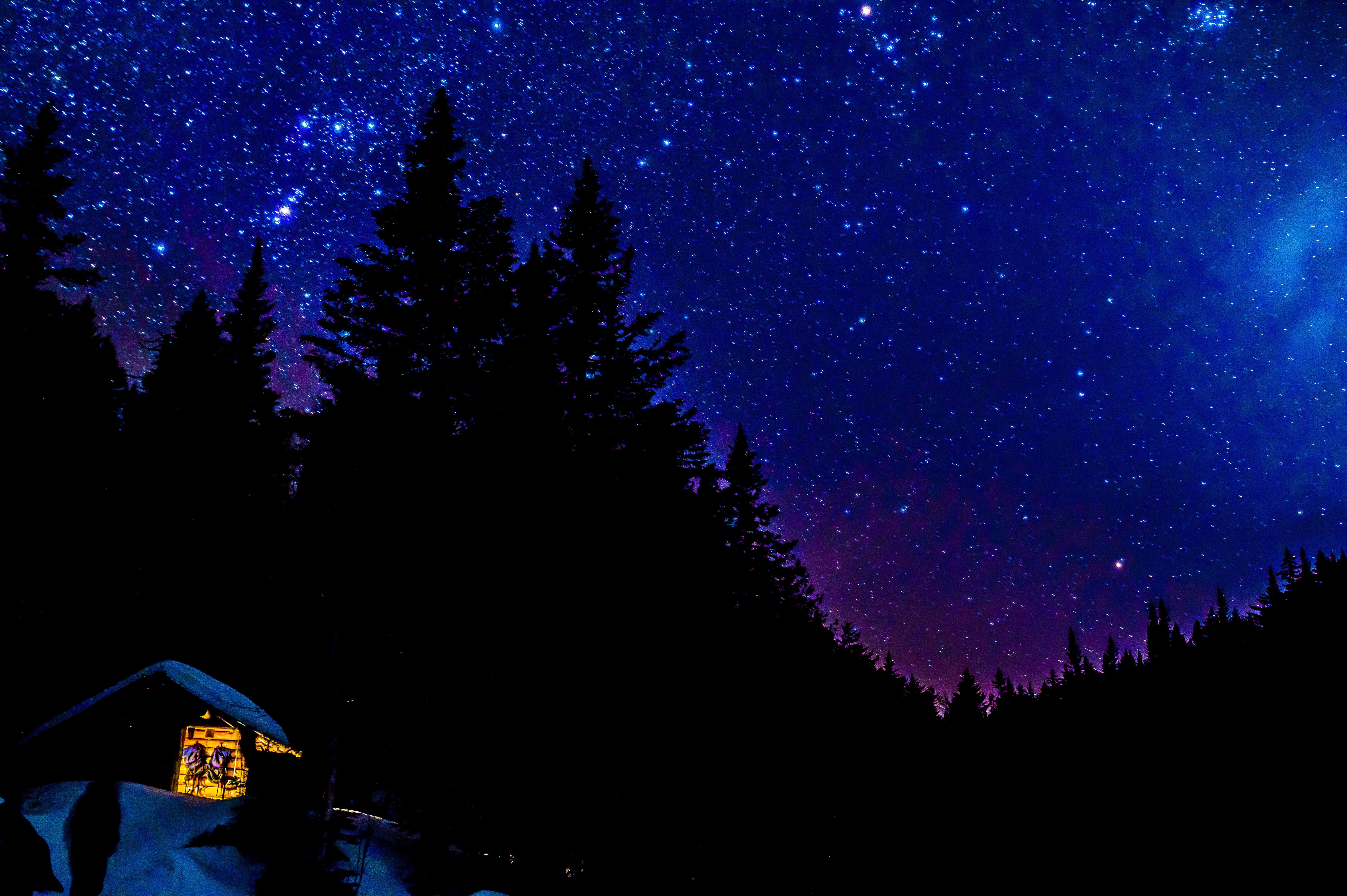 Cozy cabin with glowing windows in White Mountains pine forest under starry night sky, perfect for intimate adventure wedding.