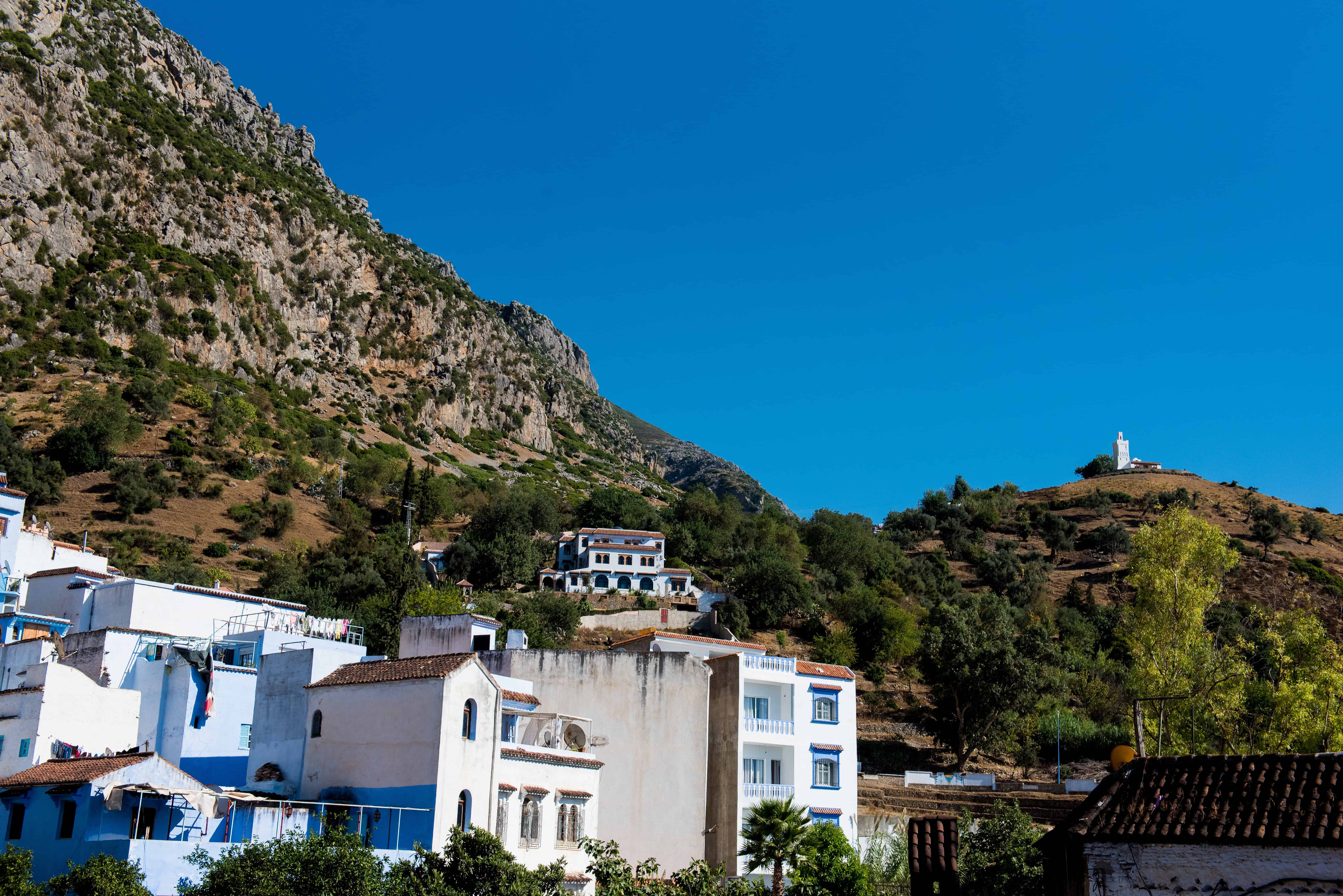 Chefchaouen's blue and white buildings on a green hillside—perfect Morocco elopement photo backdrop under a clear sky.