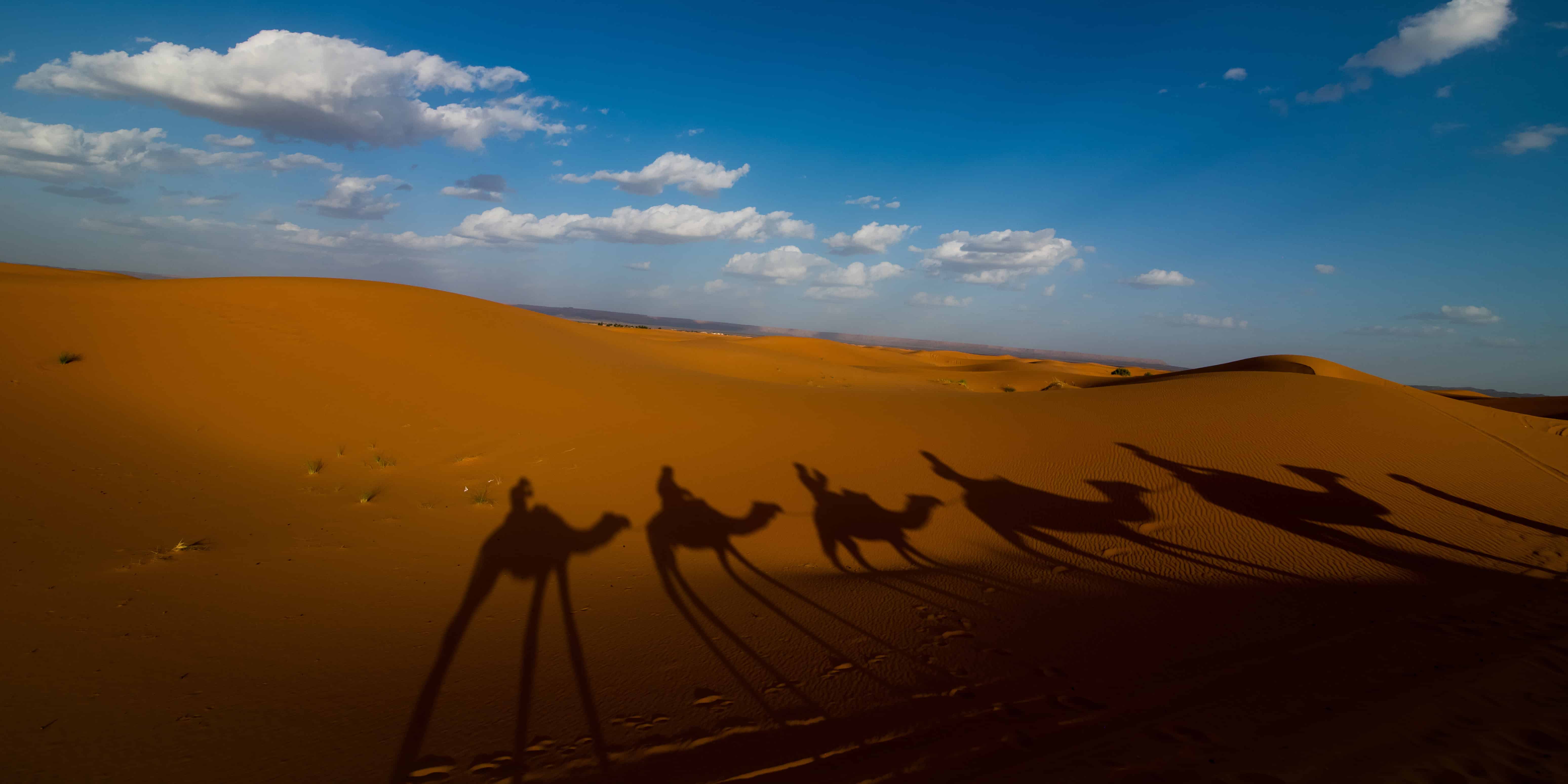 Camel riders' shadows on golden Sahara dunes beneath blue sky, photographed by Morocco wedding photographer in desert landscape.