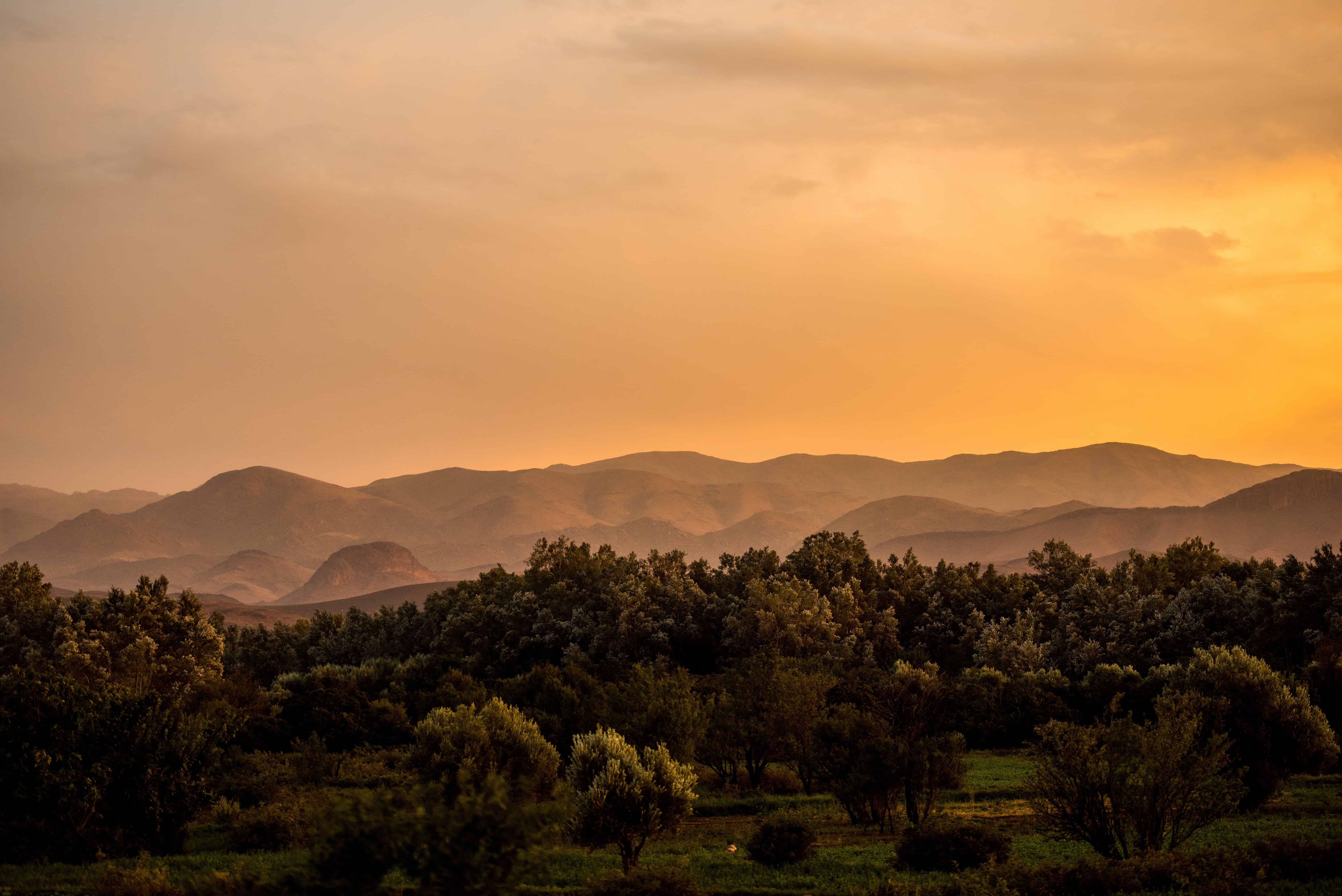 Golden sunset over Moroccan mountains, vibrant orange sky, lush green forest—perfect backdrop for elopement wedding photography.