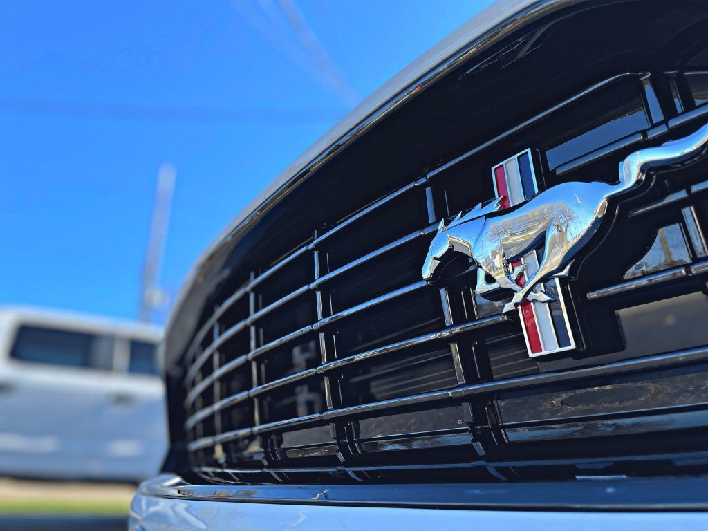 Mustang PPF
