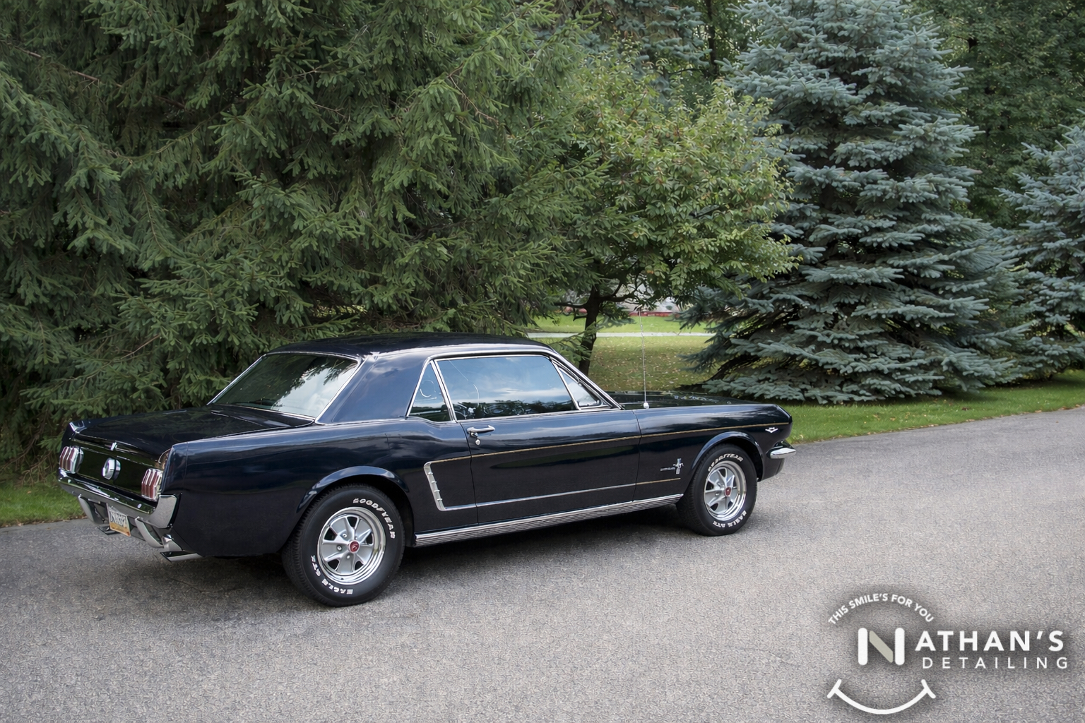Classic black coupe cleaned side profile during mobile detailing in Mentor