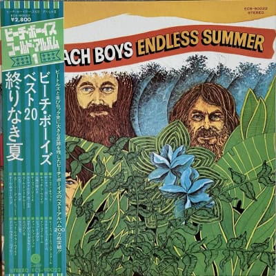 The Beach Boys - Endless Summer