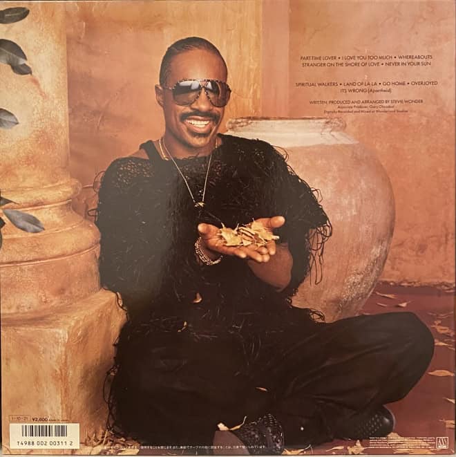 Stevie Wonder ‎– In Square Circle - imagine 2