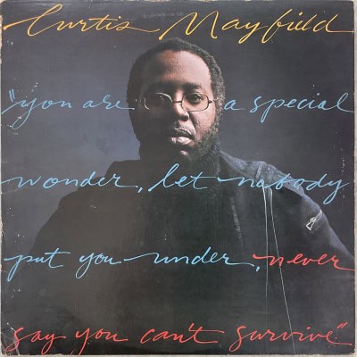 Curtis Mayfield - Never Say You Can’t Survive