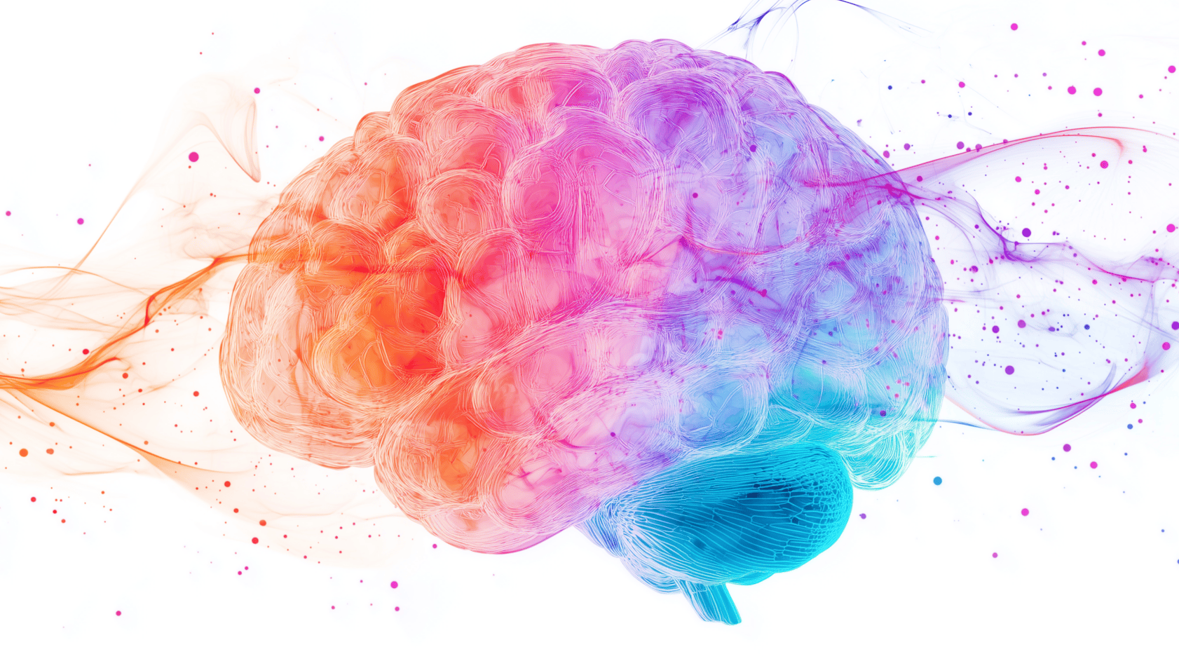 Colourful brain
