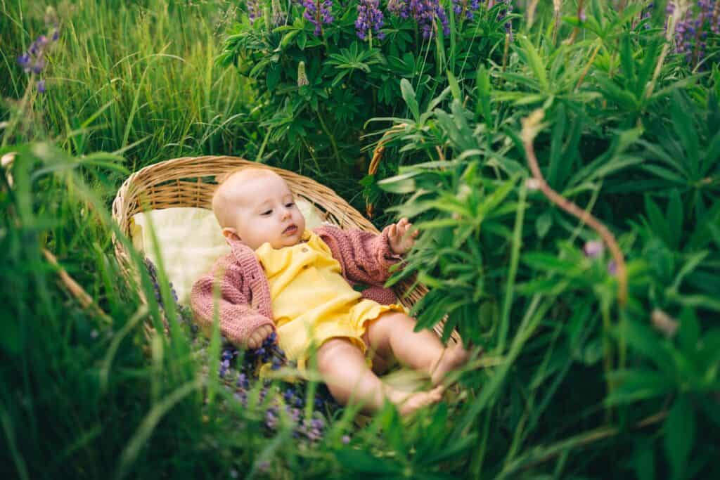 A baby in a yellow romper and pink knitted cardigan lies in a wicker basket surrounded by tall grass and purple wildflowers, reaching toward nearby leaves with curiosity.