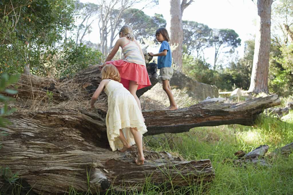 Three children explore and climb over a giant fallen tree trunk in a wooded area, engaged in adventurous outdoor play.