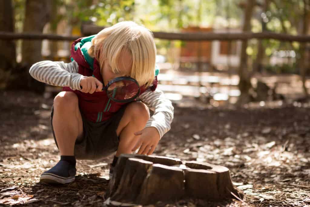 A young boy with blond hair crouches outdoors, closely inspecting a tree stump with a large magnifying glass in a wooded, sunlit area.