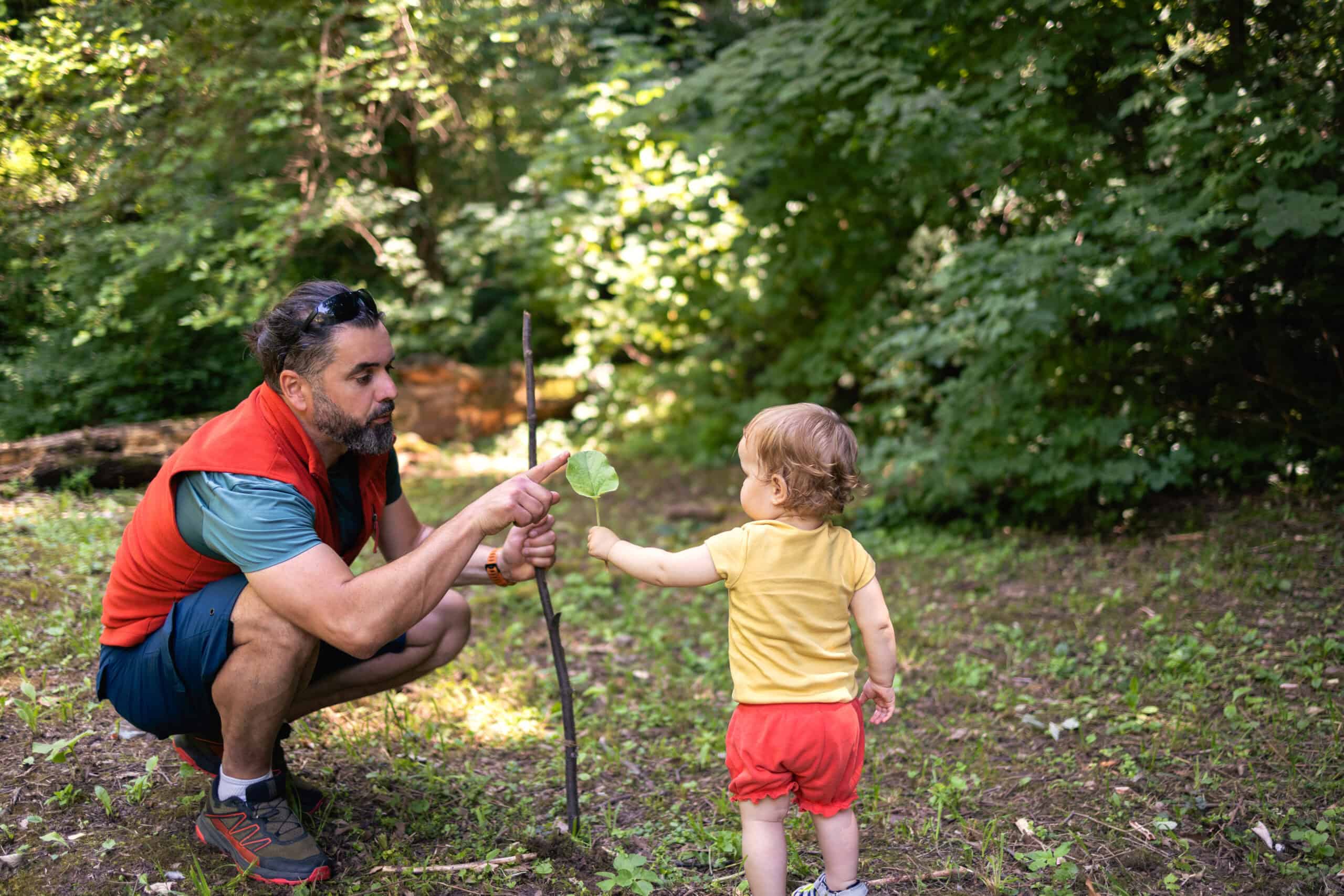 A bearded father in a red vest squats in a forest clearing, gently pointing at a green leaf his toddler daughter holds aloft; the little girl, dressed in a yellow shirt and red shorts, stands amid dappled sunlight and lush foliage.