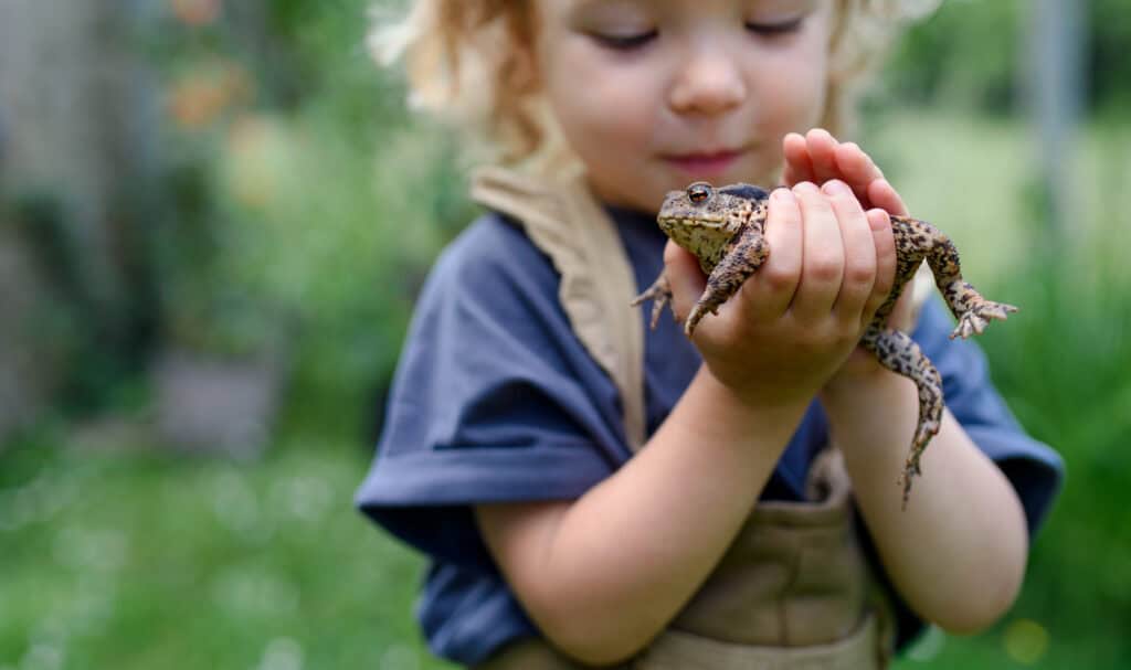 Young child carefully holding a frog with both hands while exploring the outdoors.