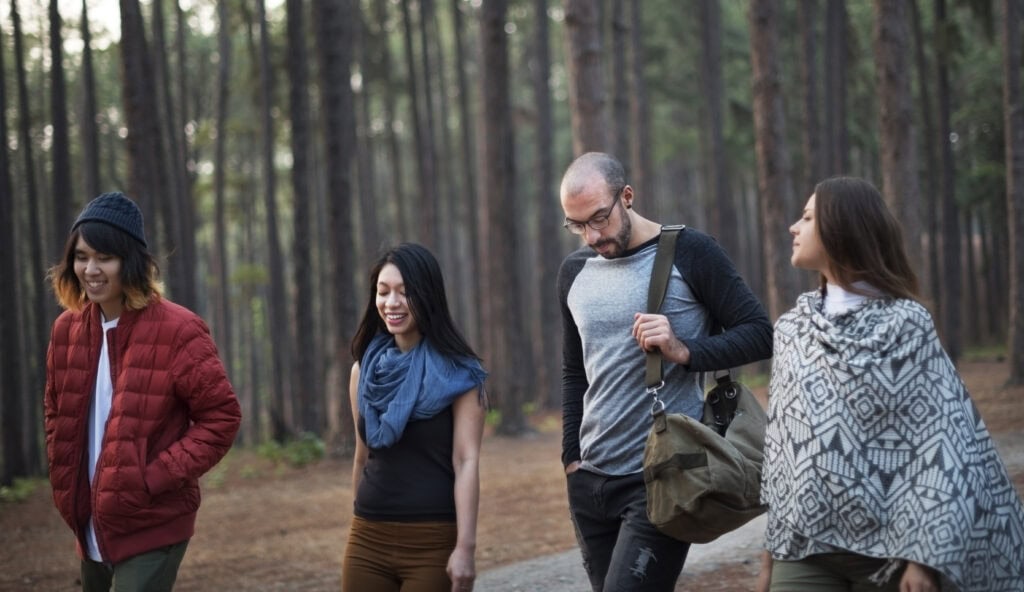 Four friends casually walking and talking through a tall pine forest, dressed warmly for a cool day out in nature.