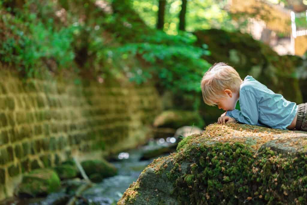 A child leans over a moss-covered rock beside a forest stream, closely observing something in the water below.