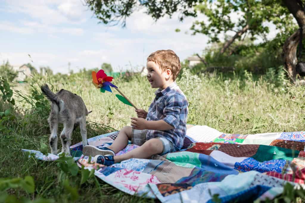 A cheerful boy on a colorful blanket holds a rainbow pinwheel while a small goat stands beside him in a grassy field.