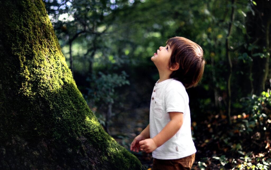 A young boy in a white shirt and brown trousers gazes upward in wonder at a tall tree trunk covered in green moss.