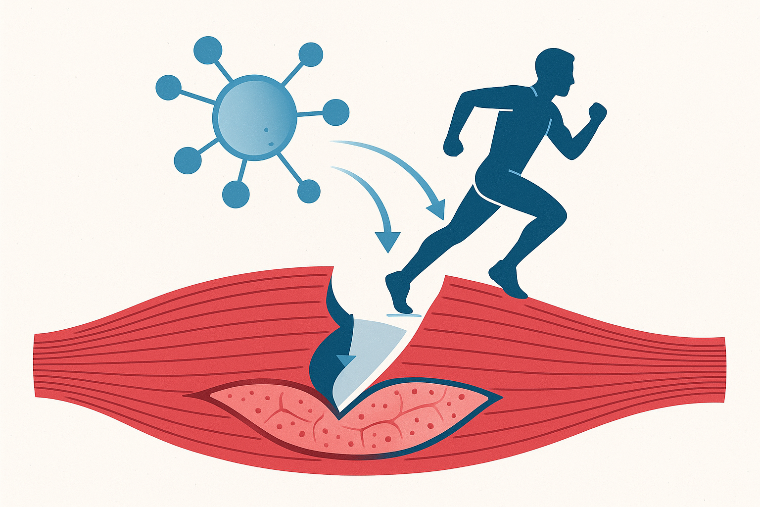 TB-500 Peptide Guide 2026: What the Research Actually Says About Thymosin Beta-4