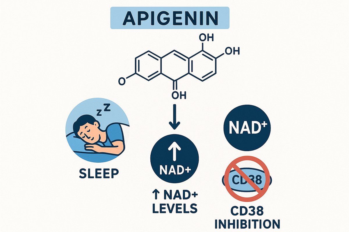 Apigenin Supplement Guide: Sleep, NAD+, CD38 Inhibition & Dosing mechanism and benefits diagram