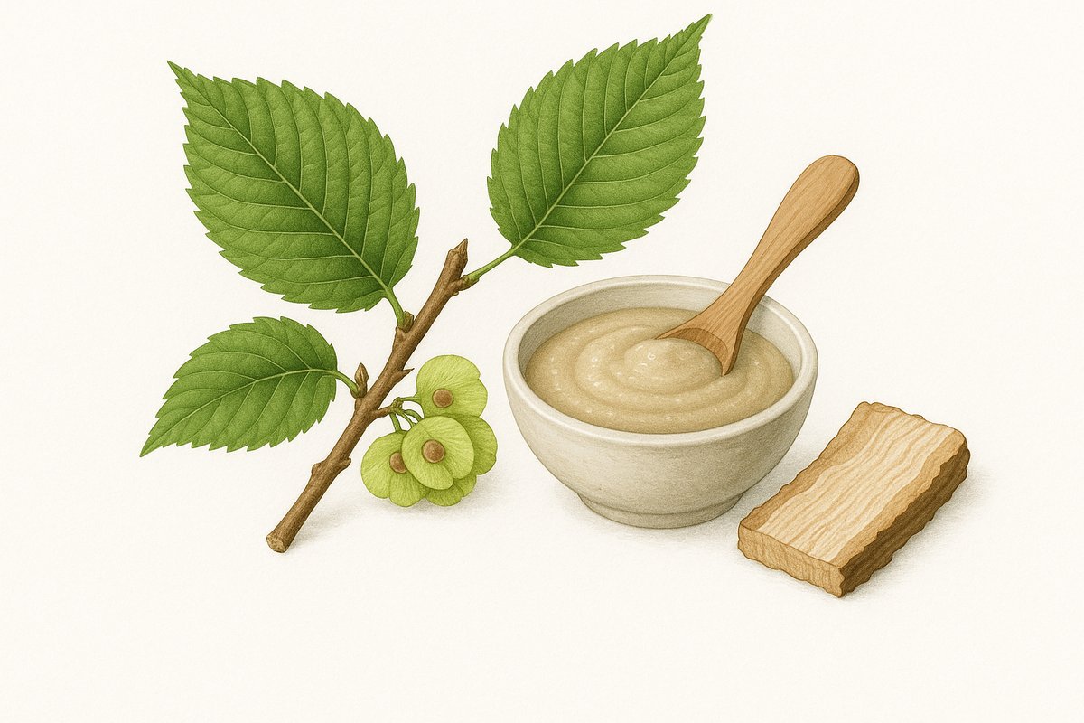 Slippery Elm for Stomach Issues: Traditional Remedy