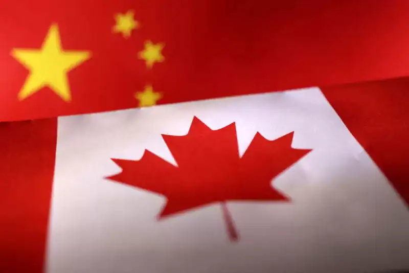 China Strikes Back: New Tariffs on Canadian Pork, Peas, and Rapeseed Oil Escalate Global Trade War, Threatening Key Agricultural Exports