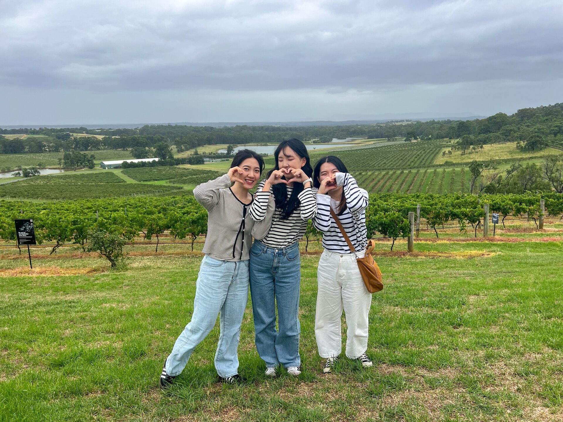 Enjoy a fun-filled day exploring Hunter Valley wineries, tasting premium wines, and experiencing the beautiful countryside with friends on a guided wine tour.