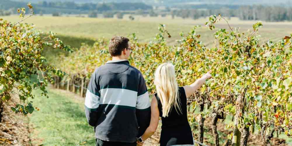 Vineyard tour at Newy Tour Co. with a guide explaining grape varieties and wine tasting details in the scenic New South Wales wine region.