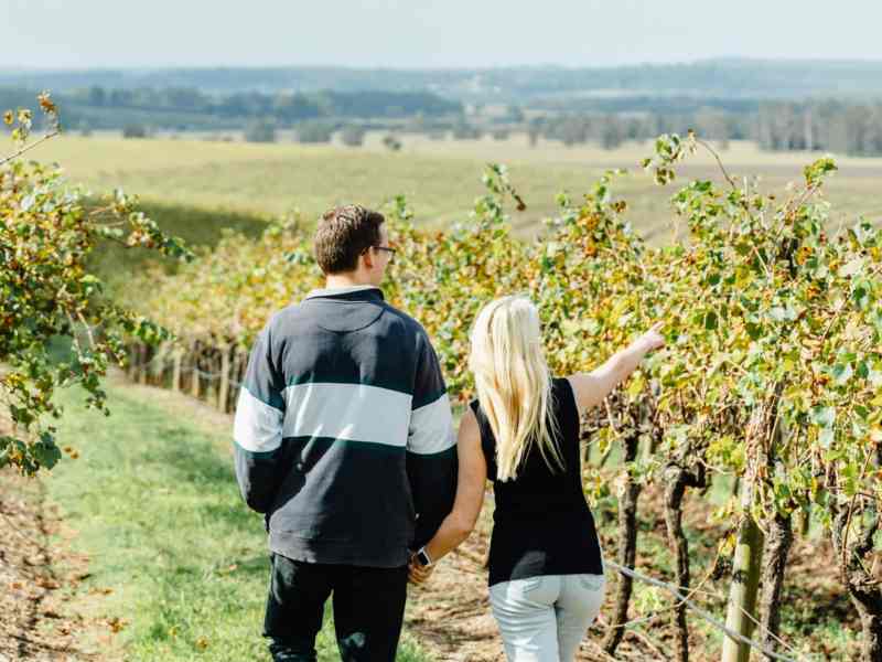 Vineyard tour at Newy Tour Co. with a guide explaining grape varieties and wine tasting details in the scenic New South Wales wine region.