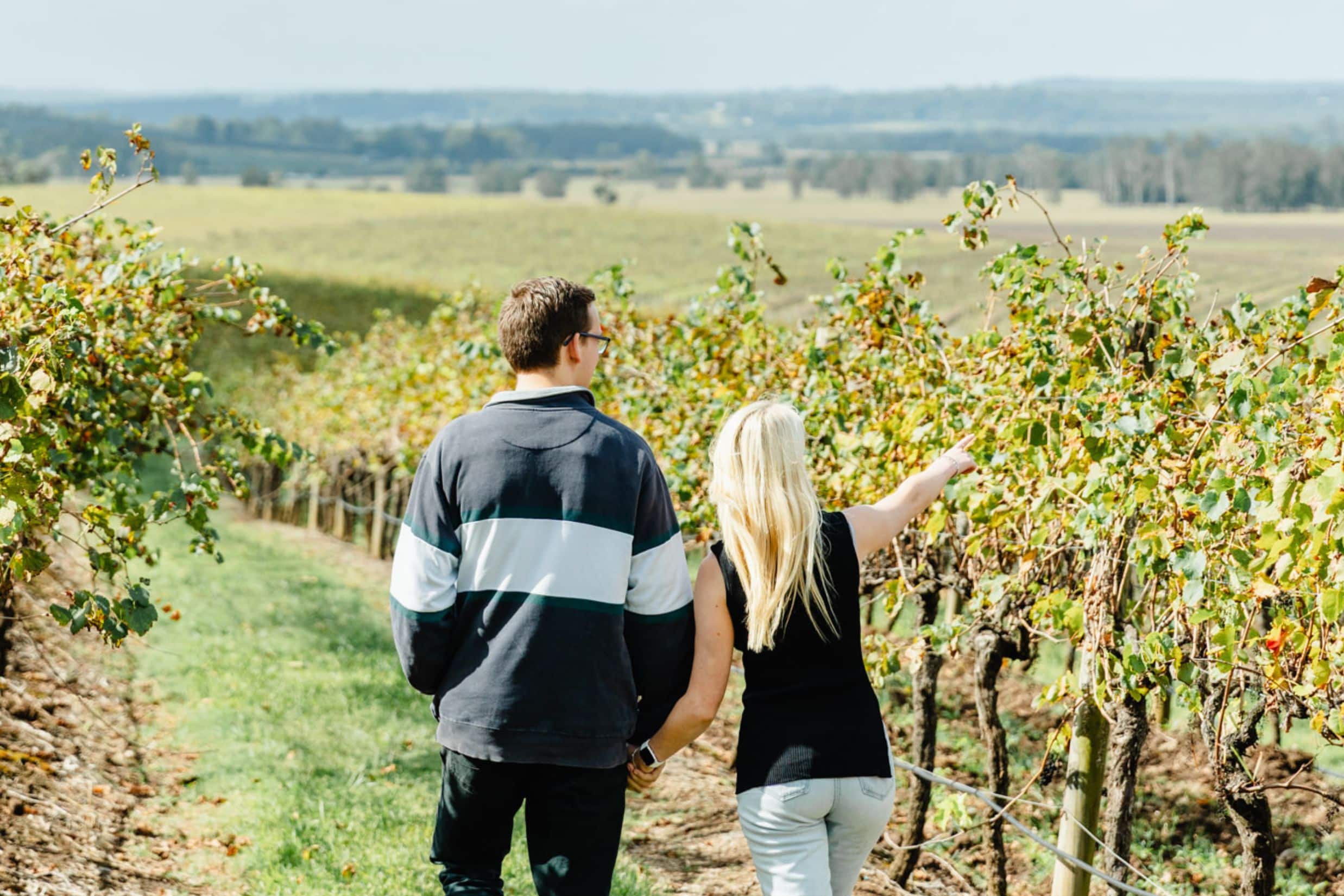Vineyard tour at Newy Tour Co. with a guide explaining grape varieties and wine tasting details in the scenic New South Wales wine region.