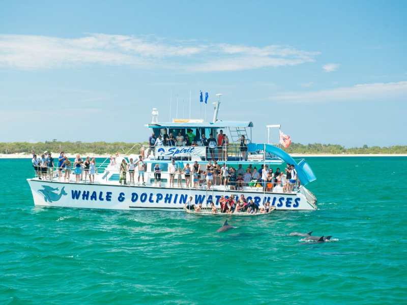 Excursion boat with tourists enjoying whale and dolphin watching cruises in Newcastle, Australia. Ocean adventure tour with scenic waters, marine wildlife, and coastal views, operated by Newy Tour Co.