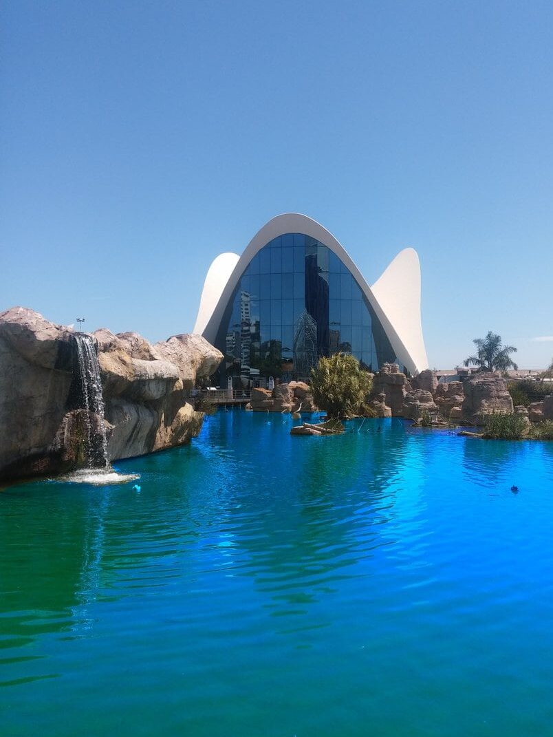  L'Oceanogràfic, marine park valencia glass building