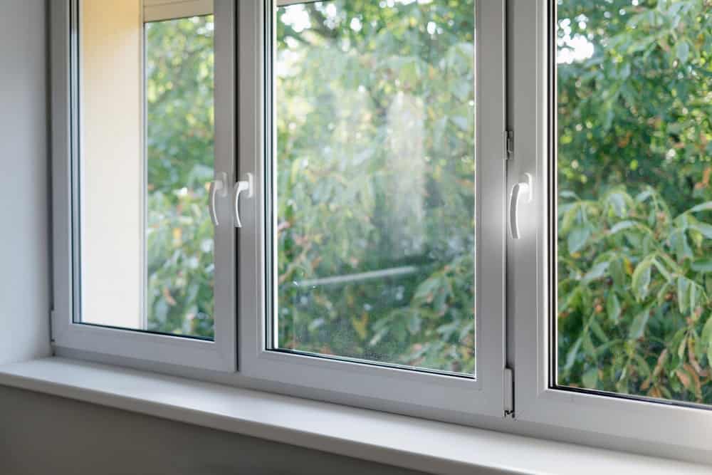 Fresh green foliage seen through a clean, modern window frame.