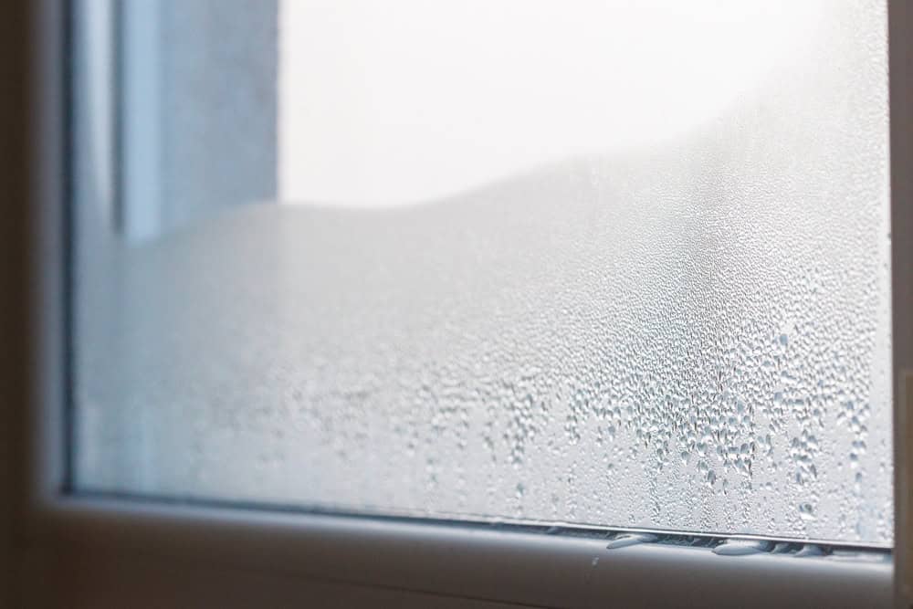 Morning condensation on a window, revealing the quiet beauty of a misty start.