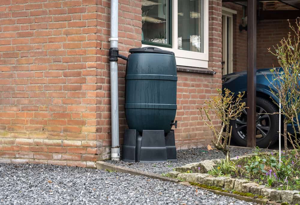 Rain barrel collecting water from a downspout beside a brick house.