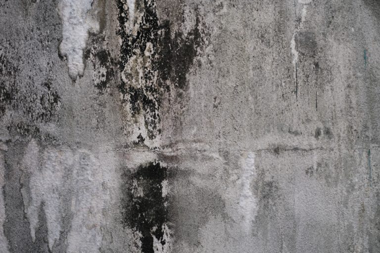Weathered concrete wall with patches of peeling paint and dark stains.