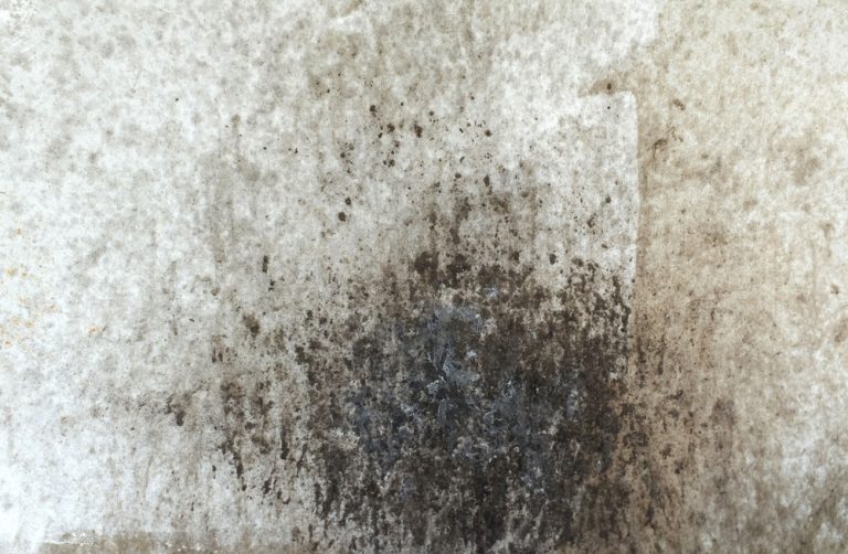 Oil stains in the kitchen from cooking splashed onto the cement wall