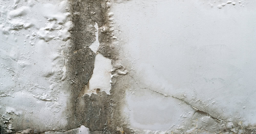 A weathered wall with peeling paint reveals the passage of time and the elements.