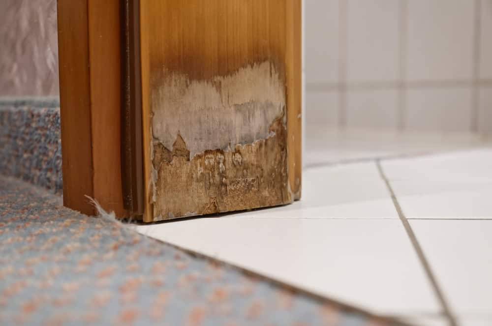 Water damage in action—rotting wood and moisture stains signal a serious repair ahead.
