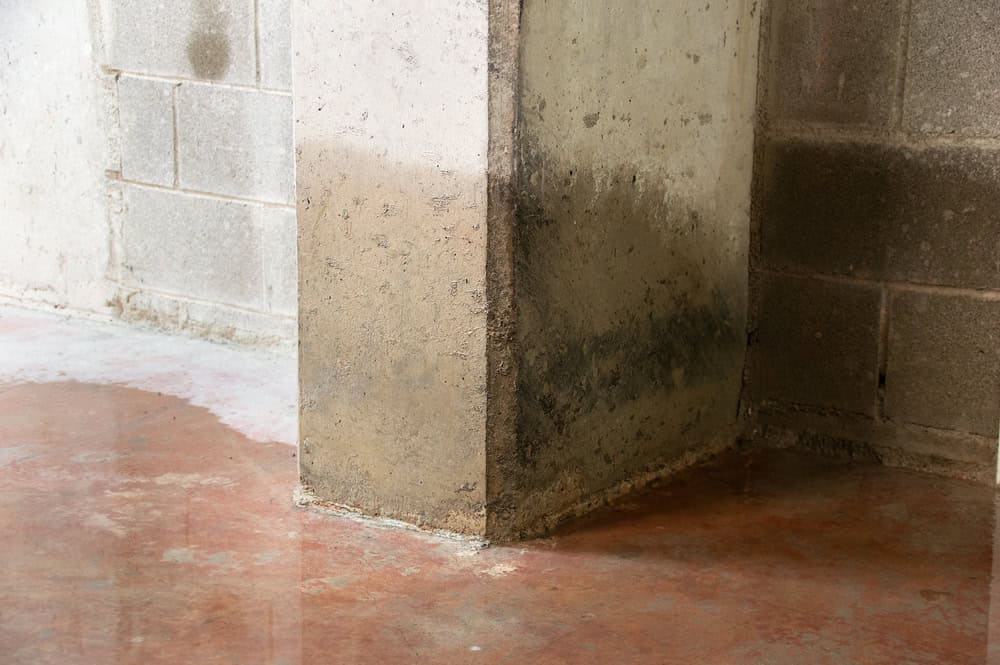 Water damage and moisture stains creeping up a concrete basement wall.