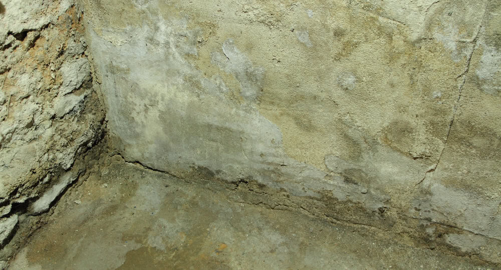 Damp, aged basement walls showing signs of moisture and wear.