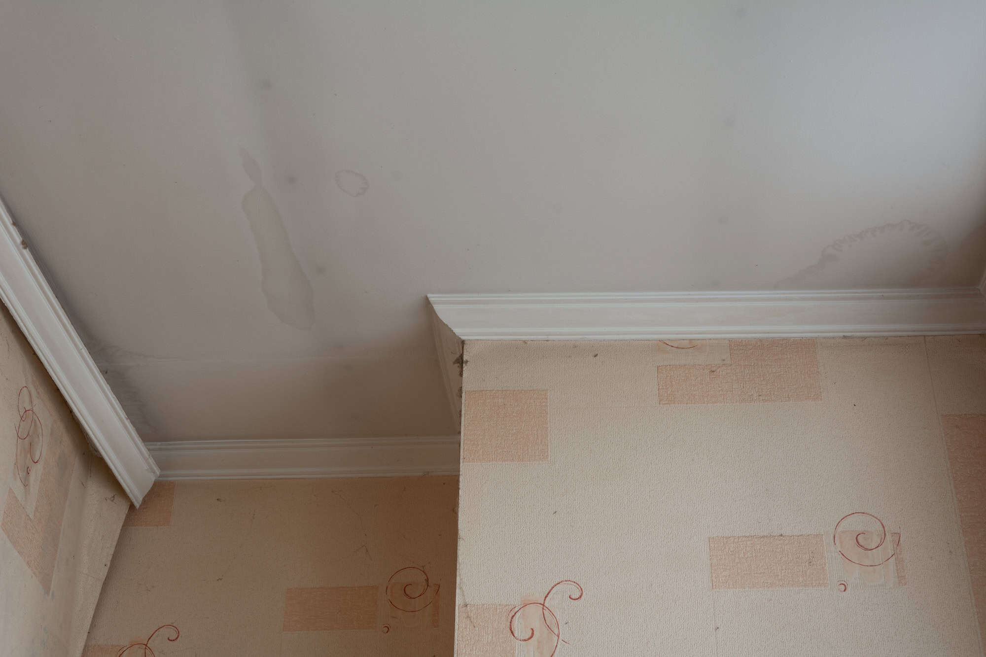 Mold growth on ceiling due to moisture and poor ventilation; signs of water intrusion.