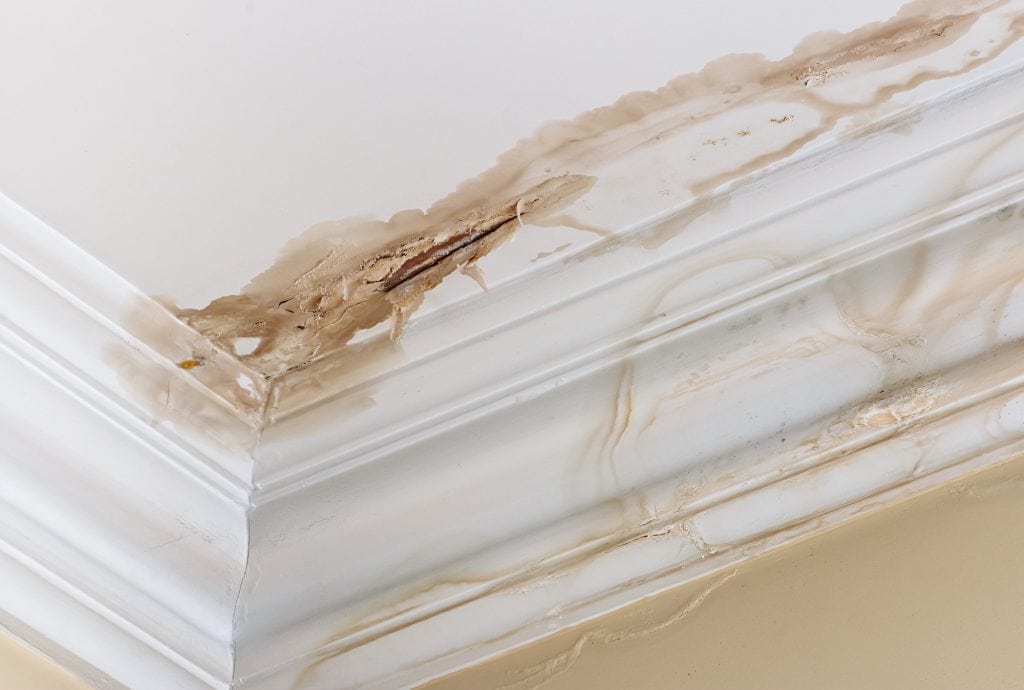Water damage staining white crown molding and ceiling, showing signs of an active leak
