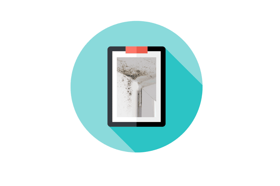 Device displaying photo of black mold growing on interior wall corner