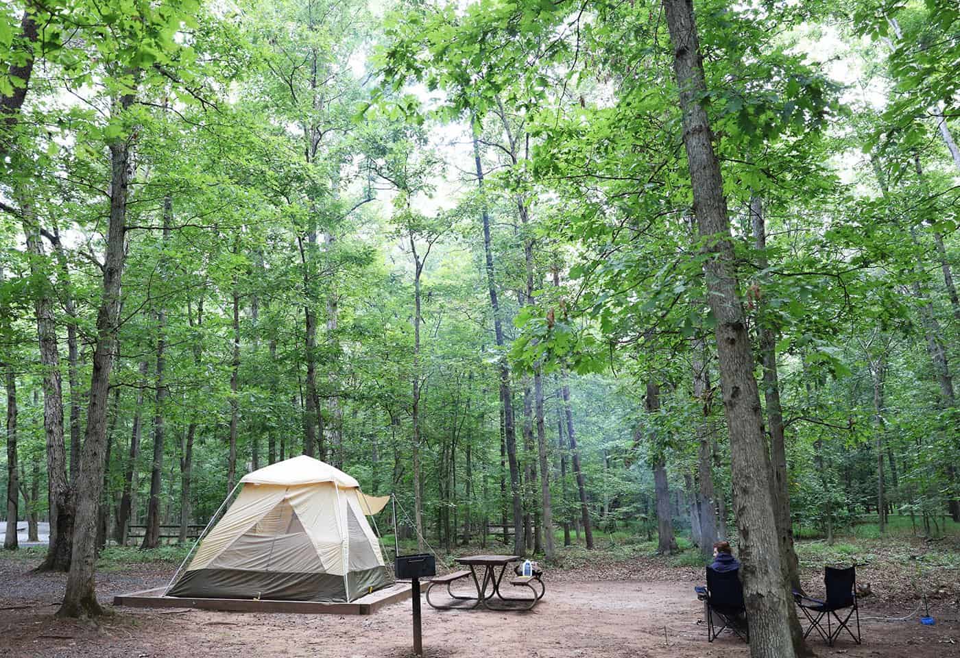 Peaceful woodland campsite with a beige tent, picnic table, and camping chairs nestled among towering green trees on a tranquil summer day.