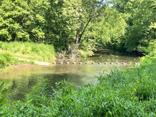 Stepping stones create a tranquil path across a sun-dappled stream, surrounded by lush summer greenery and wild grasses.