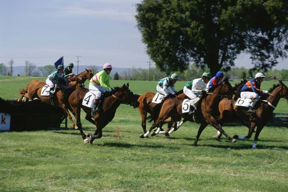 Horses and jockeys clear a jump in perfect synchronization during a steeplechase race, their colorful silks contrasting against the verdant spring landscape.