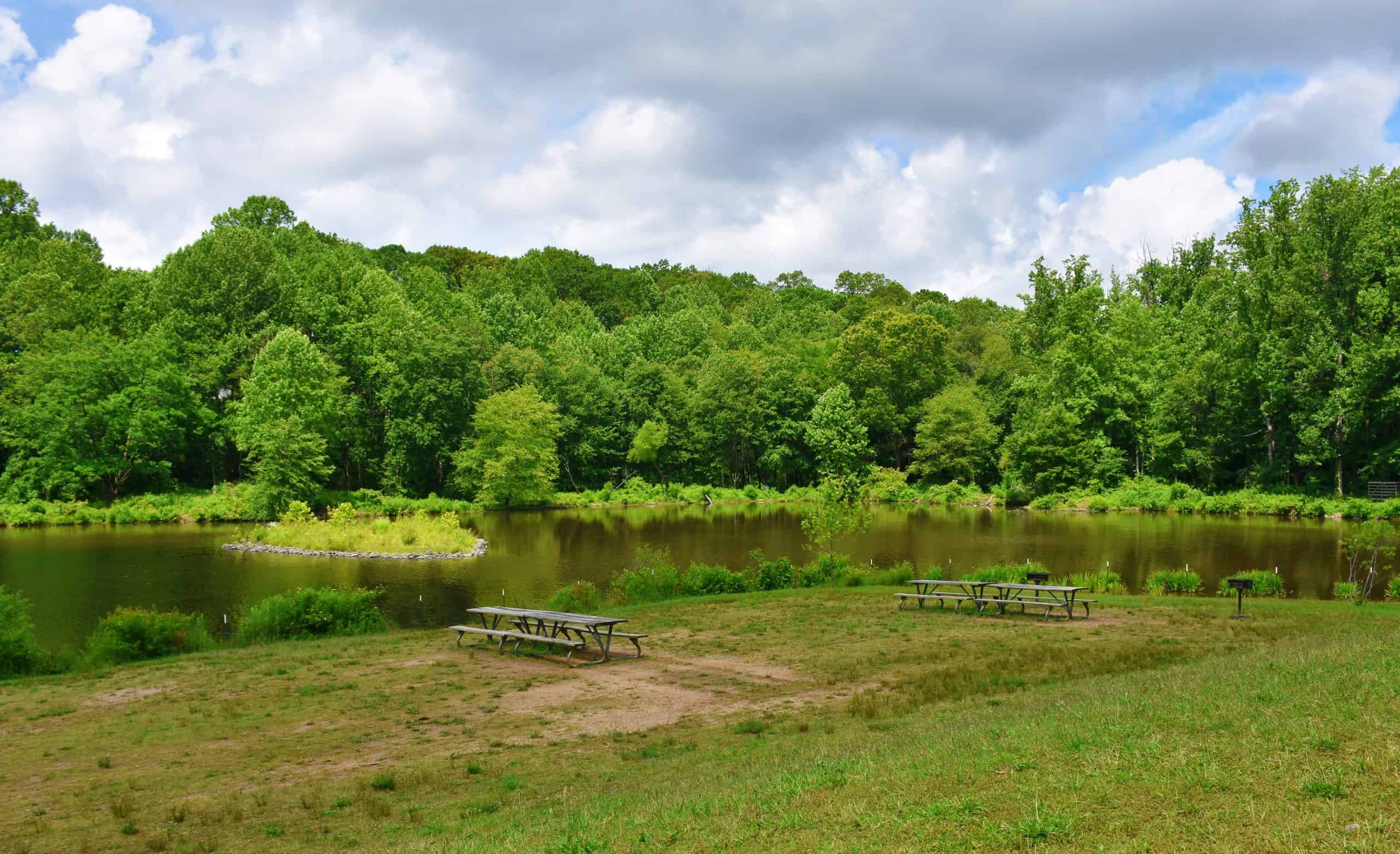 A serene lakeside picnic spot surrounded by lush greenery, perfect for a peaceful retreat in nature.