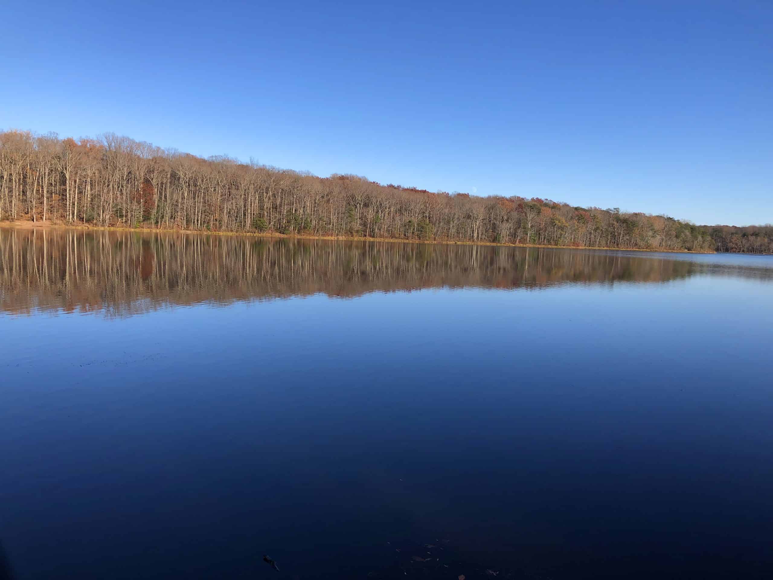 Mirror-like lake reflects autumn trees under crystal blue skies, creating perfect symmetry between water and woodland.