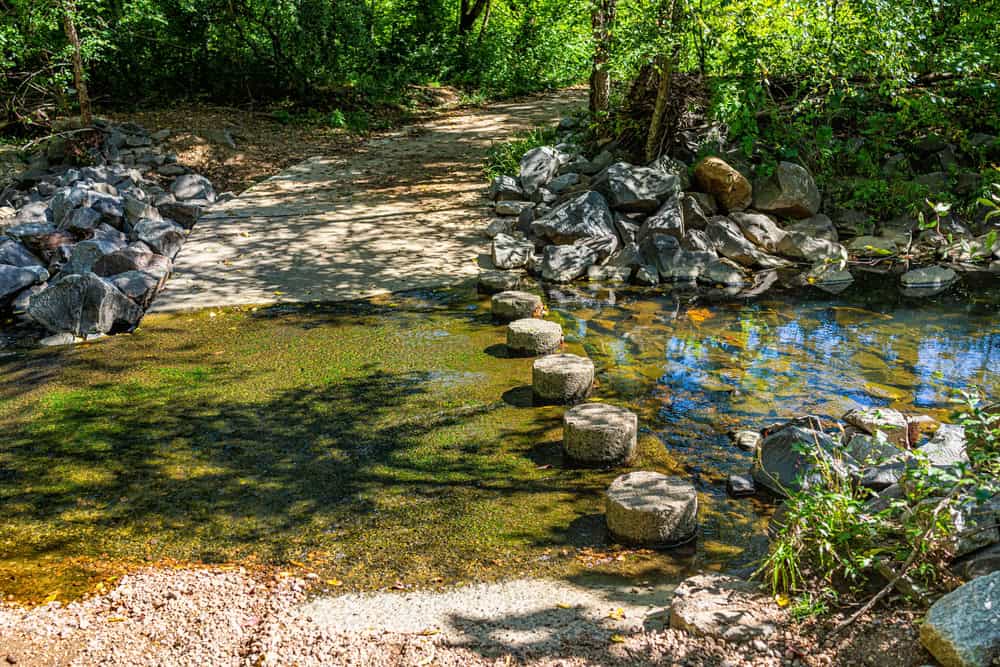 Tranquil forest stream with stepping stones leading the way, inviting adventure along a sunlit path