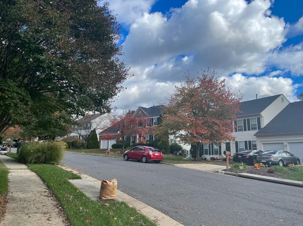 Autumn colors grace a peaceful suburban street, with trees turning red and gold against a backdrop of white houses and fluffy clouds.