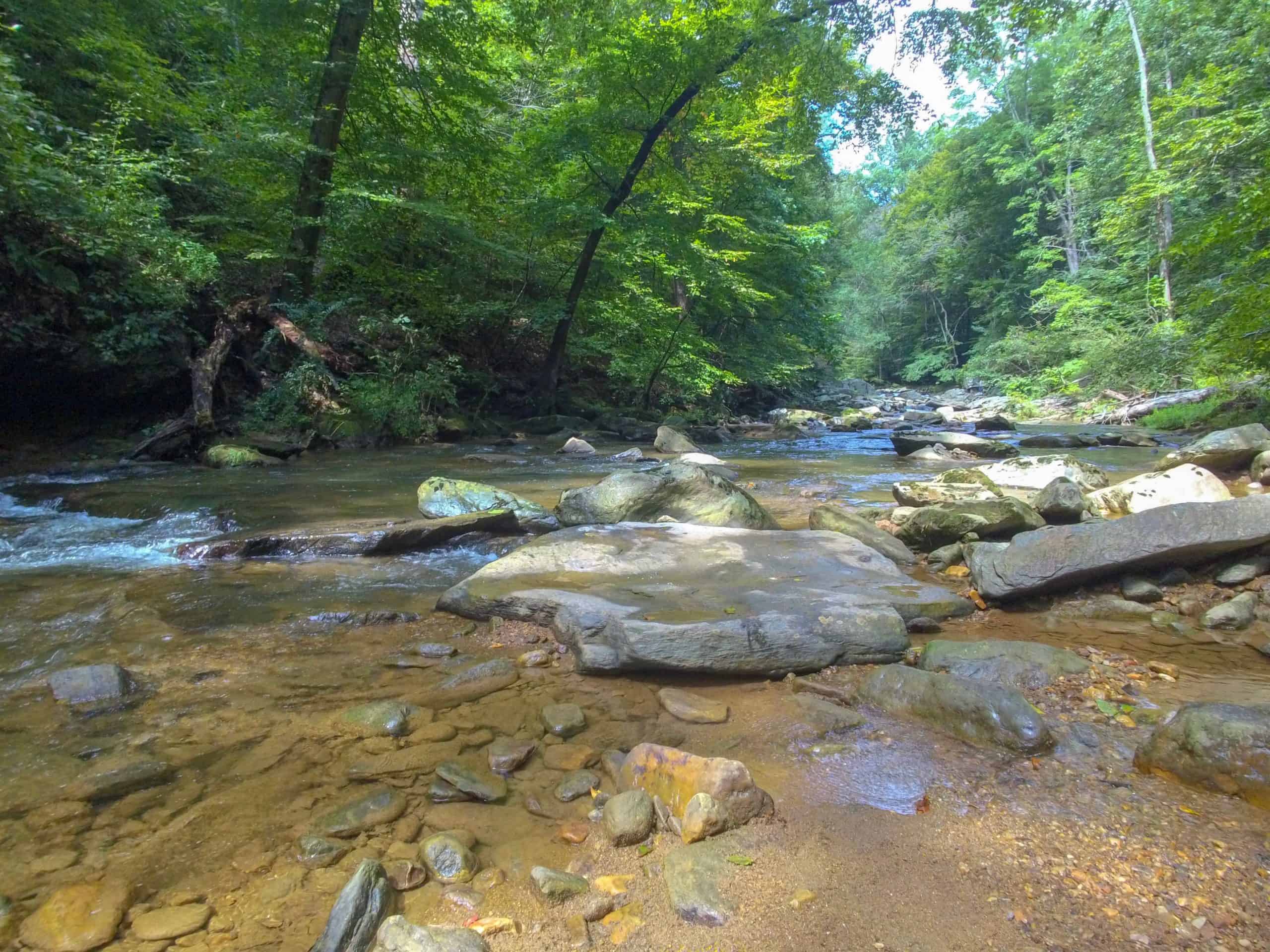 Nature's Serenity: A Rocky Stream Meanders Through Lush Forest